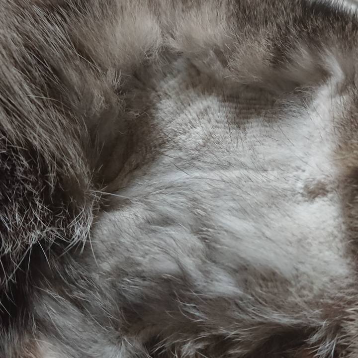 2a93f0ee 6989 447d 8bec bd93b2713bb3 1592311772116