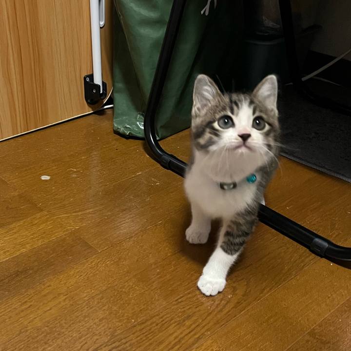 2a940d41 7d8a 4607 9ede 7b4555e0a19a 1766104567923