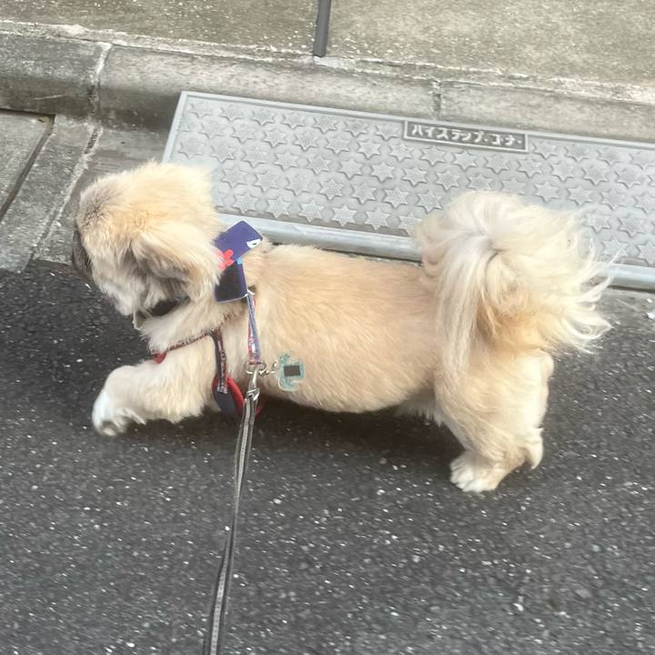 2a9425dc 2e83 496c 999f 302a1b2978d1 1722728411747