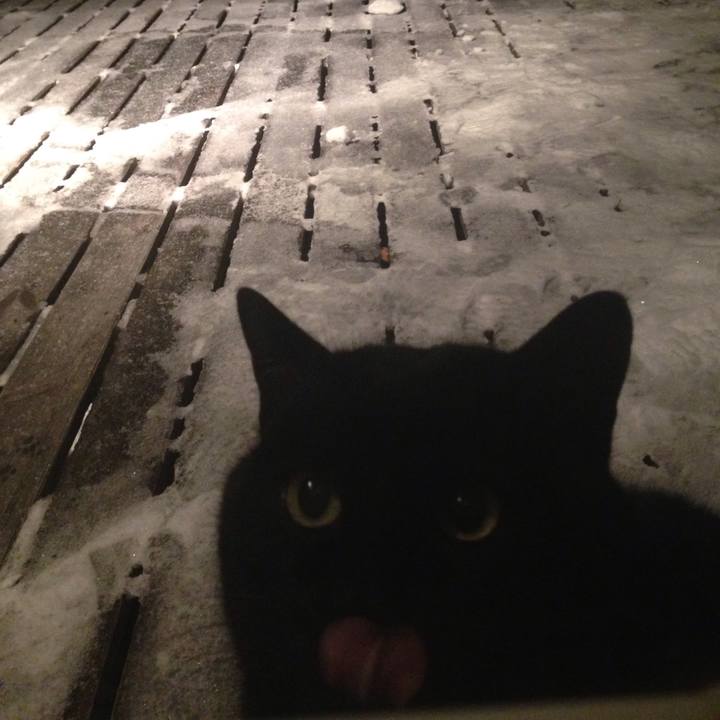 2a94269e df6c 42da ae5a fad933da13cb 1515833762347