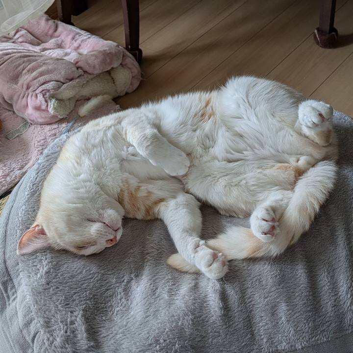 2a943fae 865a 42c1 879a 3335c321de90 1727066667611