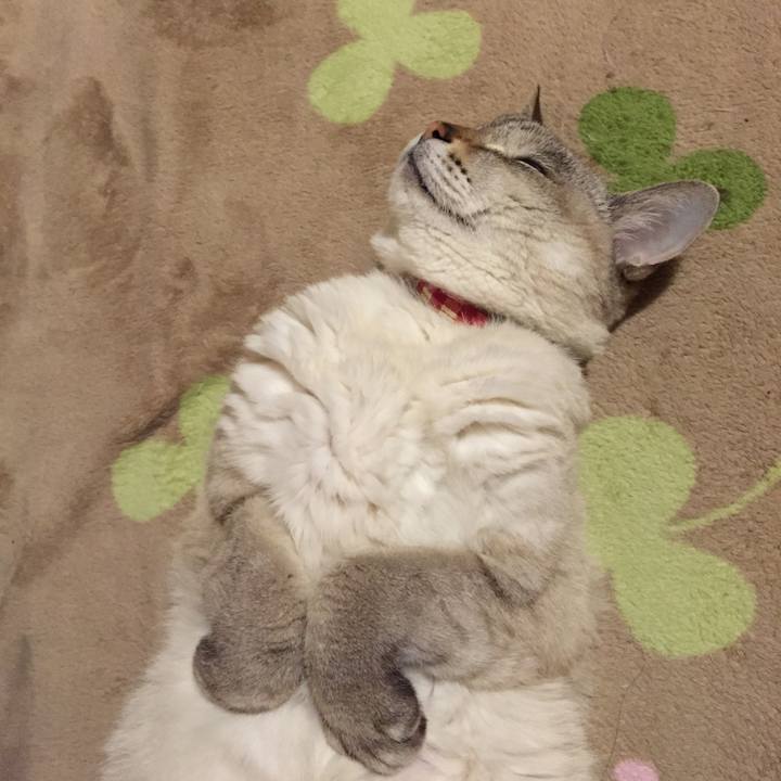 2a944118 6184 4e8b b3f3 2528271c373b 1546604505460