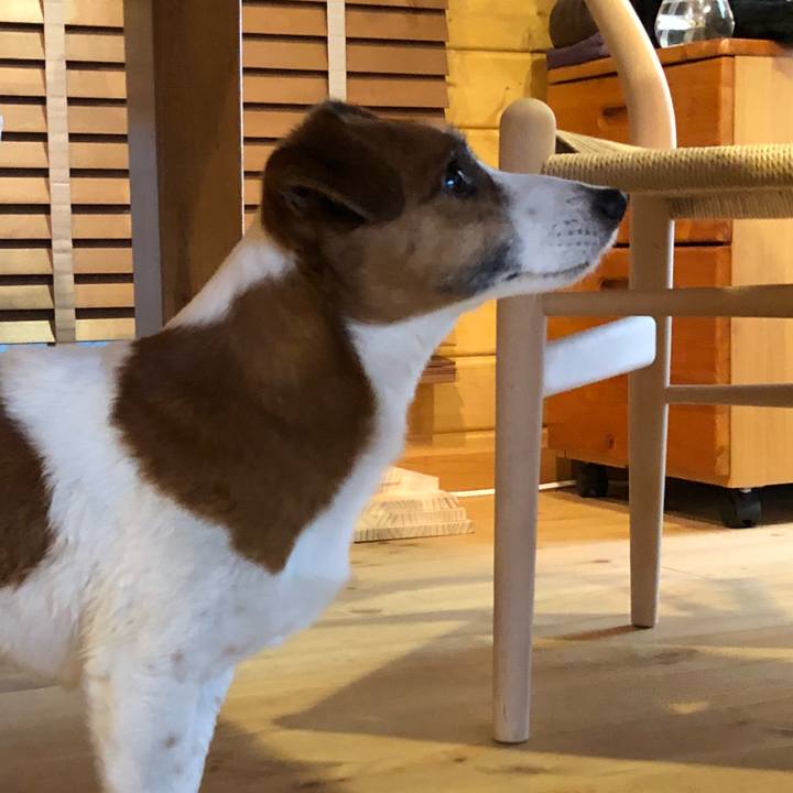 2a9456ba 49c5 4841 9141 ead5fc900534 1524270976903