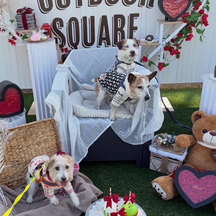 2a9460d2 6e97 4ec9 b678 2be2e366fc49 1771060122116