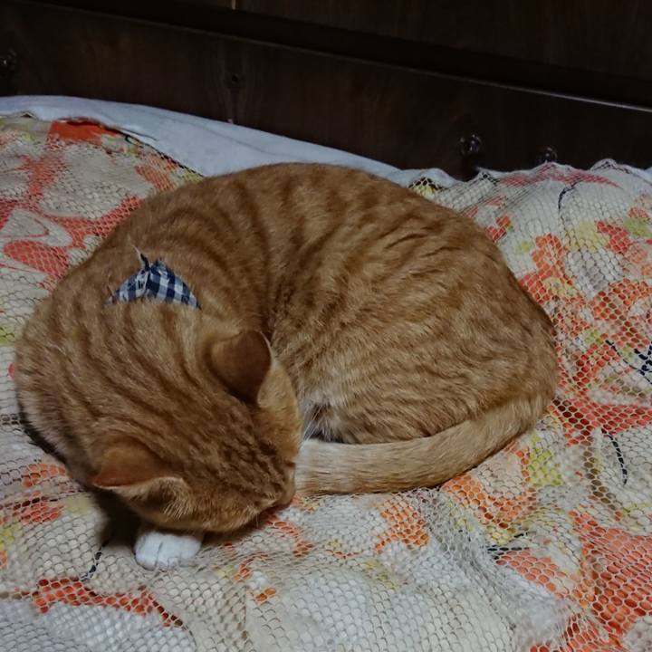 2a94617e e4b4 4826 8326 f5bd0e522e6f 1572696692795