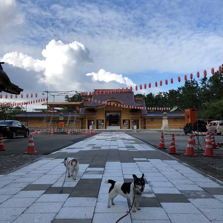 2a946702 d862 4450 a437 a846a2ae3420 1533859807560