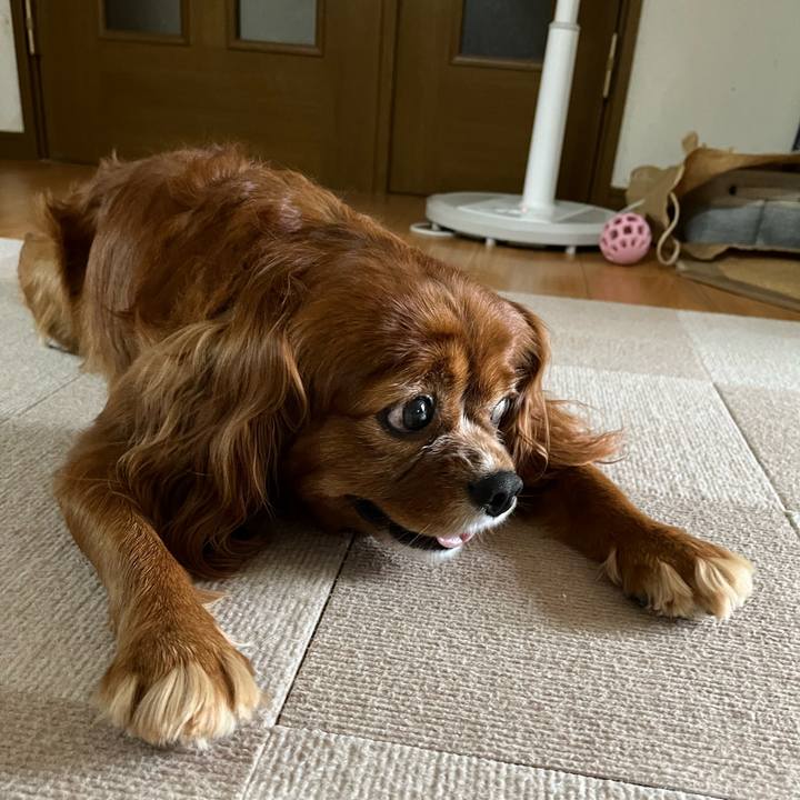 2a94748b dc02 44f1 a511 6efc6df957e4 1657492161707