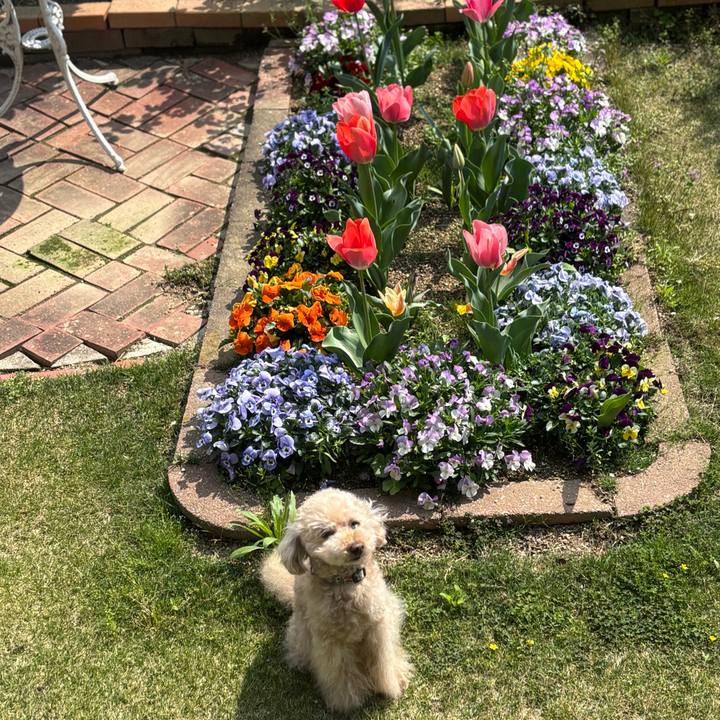 2a948172 c149 42c5 bb76 dce2a18d4d6a 1775133796534