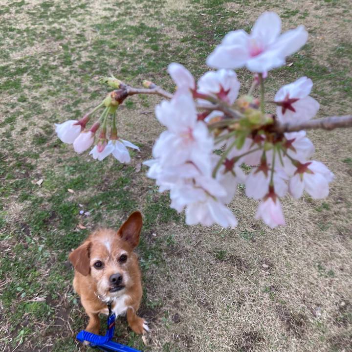 2a94dde9 65cb 462c bf5c cd74eef7990a 1616488782099