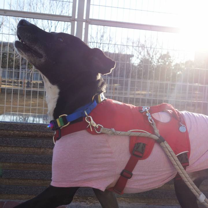 2a94df00 8d21 4743 ab05 8f24f2643e71 1675646894479