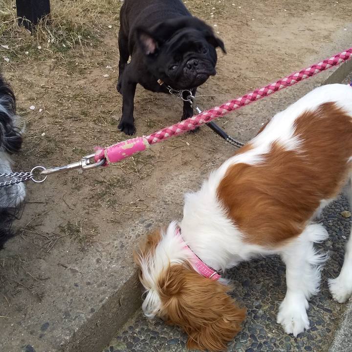 2a94e60c 3843 4dfc b2ef 2552adab620d 1586363594152