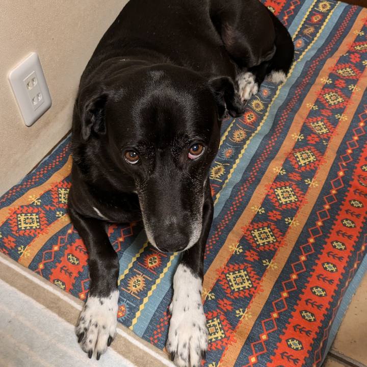 2a94f789 45ae 4fcb 8fe1 53f76beb2277 1718967923376