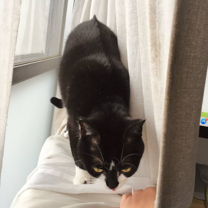 2a952194 99b1 4a1d a552 38ccd233ee27 1760967270435