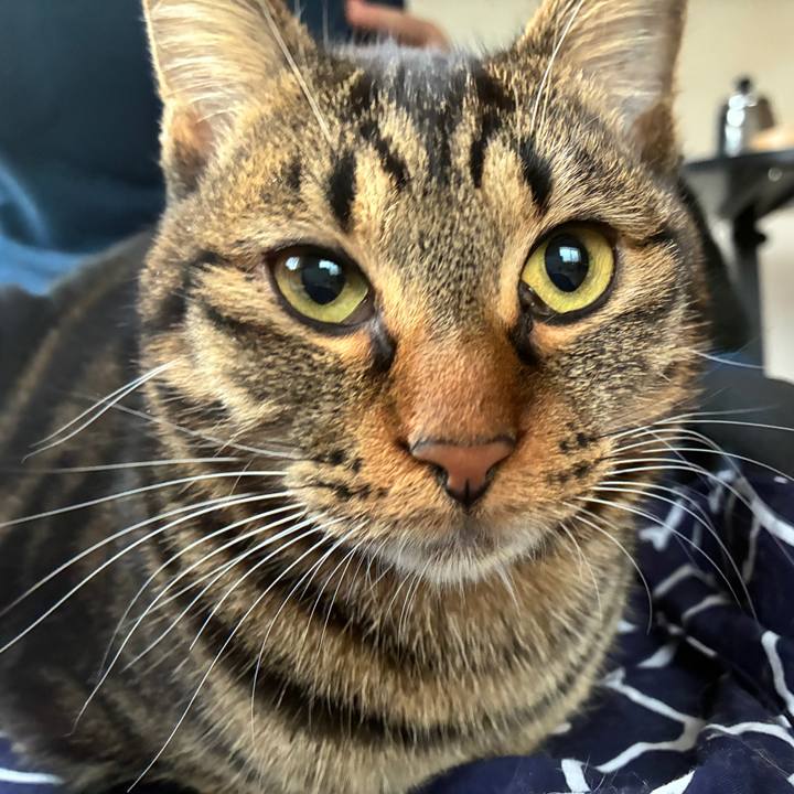 2a9537cb 8634 4e64 974d 85066f2f7538 1763418937035