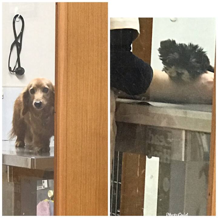 2a953b45 cb75 43fb aa53 5c6668f92812 1614049480070