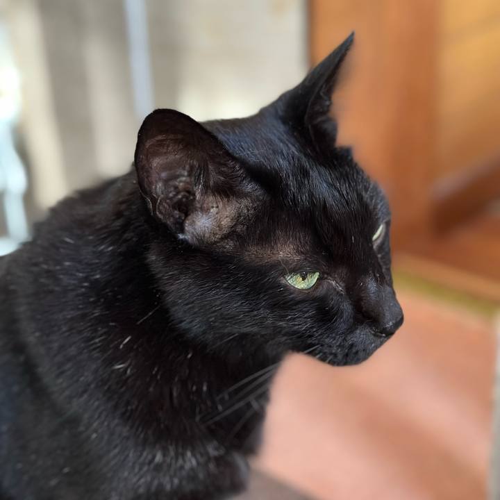 2a955ba6 1f19 4533 b0b6 ea3791082d63 1666920390786