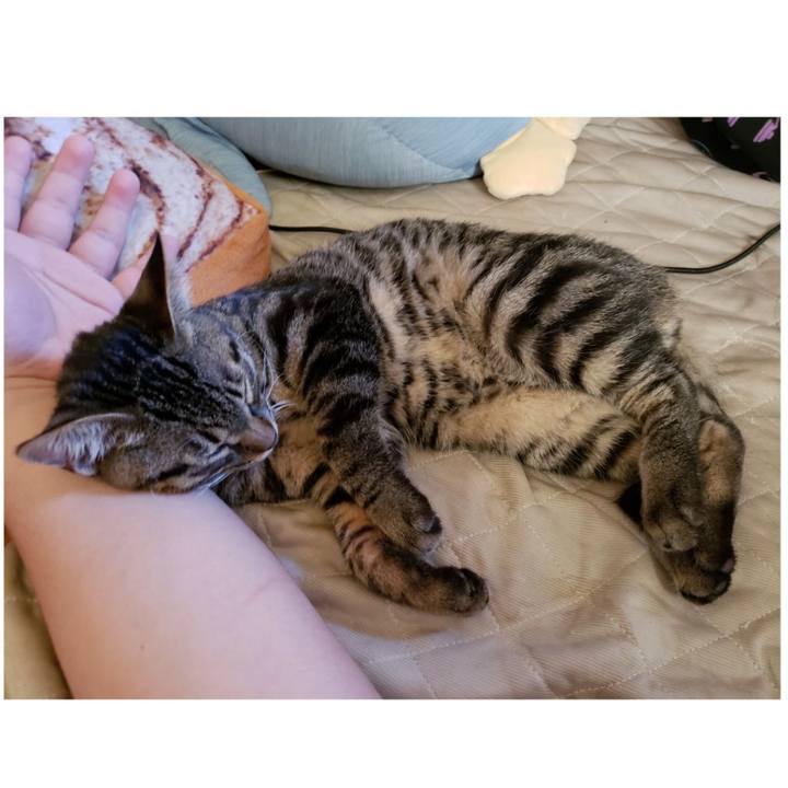 2a958731 c9fb 464e 91c7 6163648d6fc4 1542262410530