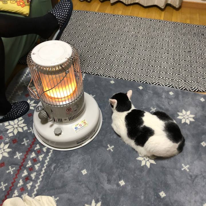 2a95a4ad cd52 4dd6 ac96 54cdc81ff799 1547115488951