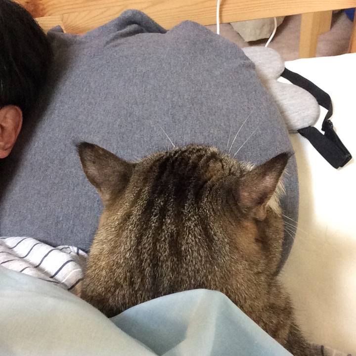 2a9612a1 8695 41e7 a8aa 7252d94b96b8 1551821687362