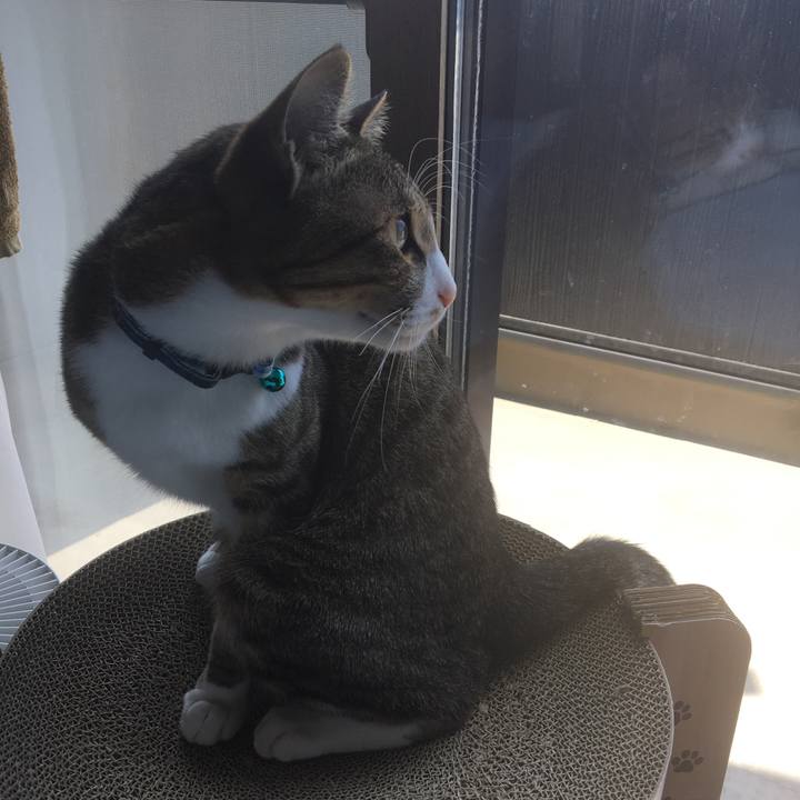 2a961d62 fbc4 4654 ab86 67c10bb426dd 1688361268263