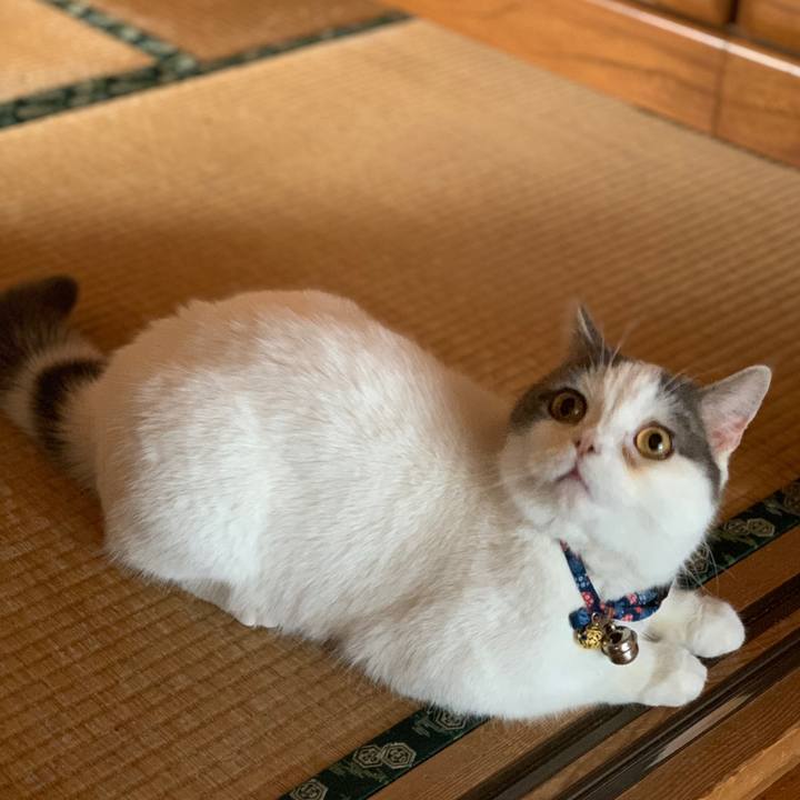 2a962dc7 4a70 4cf1 b92f 9ffbfc3156bf 1632403599069