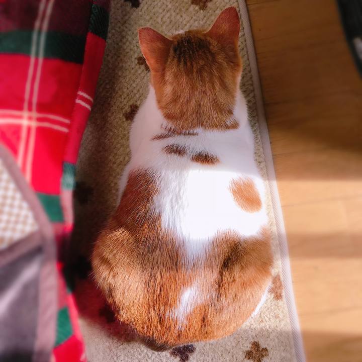 2a9643ef 6969 4870 a43f 1875af2c4ea5 1549602326659