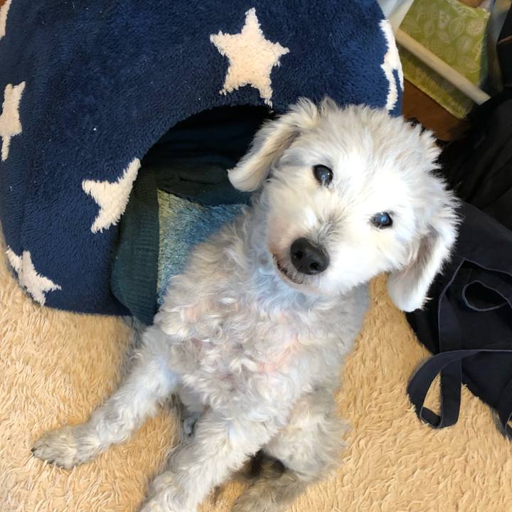 2a965eb1 d5dd 4ef1 9144 89315b82de4a 1641182506659