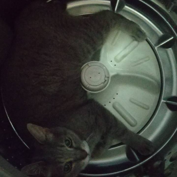 2a9670c6 b7d0 41d8 b097 de373f1e3308 1689555074747