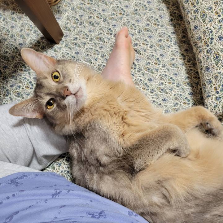 2a9677d9 9c9f 4711 8aff 0c424c3d7061 1636466927878