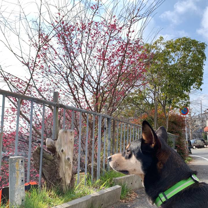 2a9694e7 a02f 4ffb a53d fa949deaebc4 1548381684899