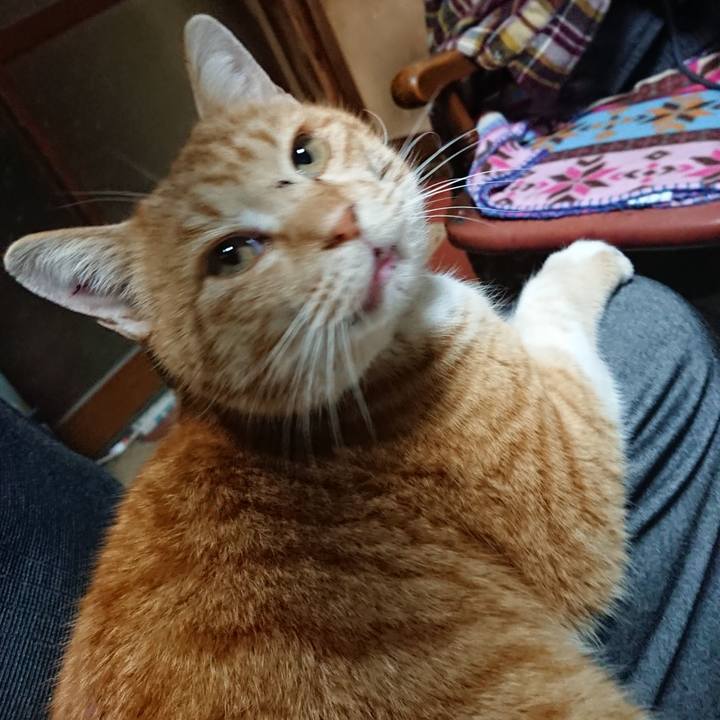 2a96a4bb 4886 4c9f 80ab 3ea4df67eff1 1579857502564