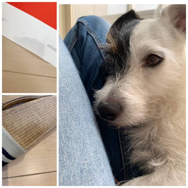 2a96a4e6 b46e 467a a4fb 999095a49e34 1562292320498