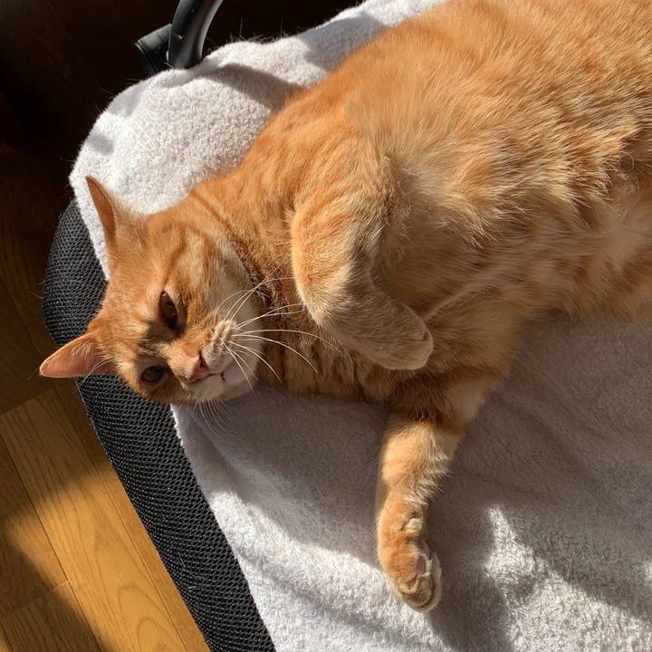 2a96b720 15f7 4501 a9e1 01d84f7c9e3d 1589858553611