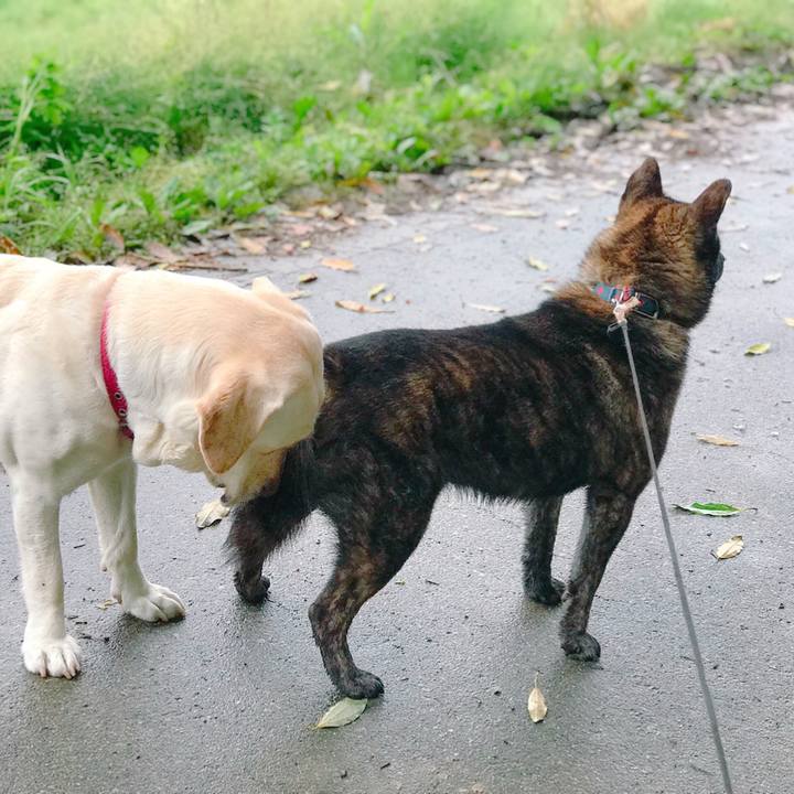 2a96c157 056d 4d61 b5b0 2a4b15805650 1526282625585