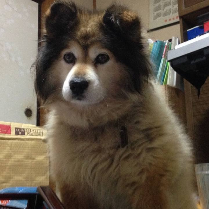 2a96d5d7 a623 4fde a663 c77bba38fe2d 1556166882236