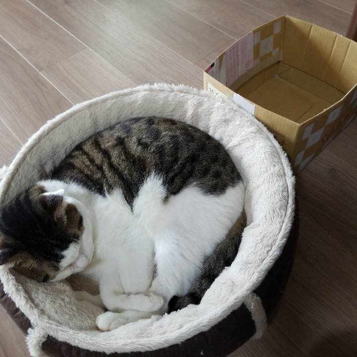 2a971513 fdf3 49a0 baf7 04fe1c5e7b59 1571446400242