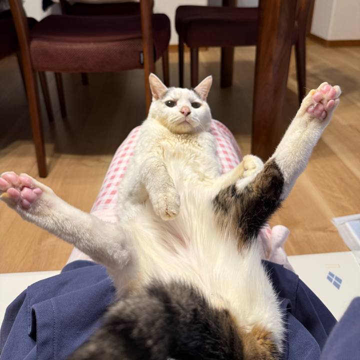 2a973164 3bcb 48a4 a34f e10dda4e2488 1770772518429