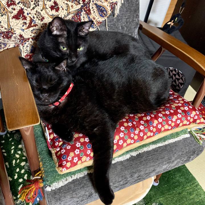 2a973246 d9f3 4970 b8b1 8ab0b00d9478 1601719643012