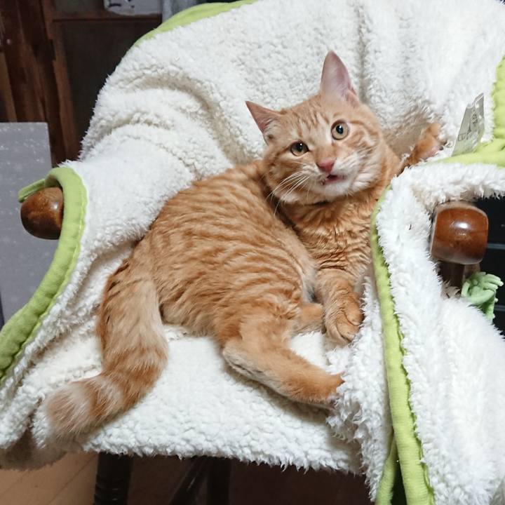 2a973938 fc65 4c14 a7ea a5278829273a 1638837952775