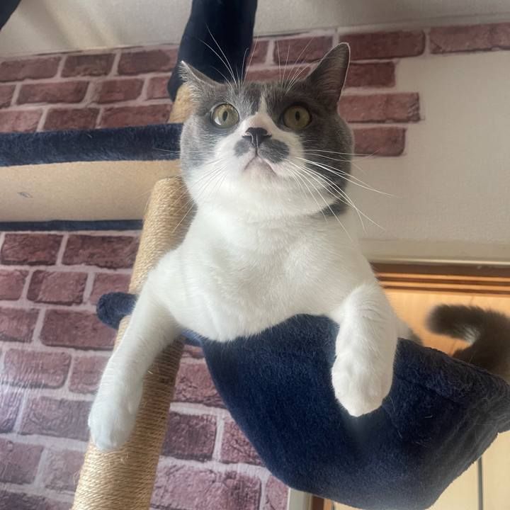 2a974bbf 3984 4715 aac9 944d3934b00e 1727047111682