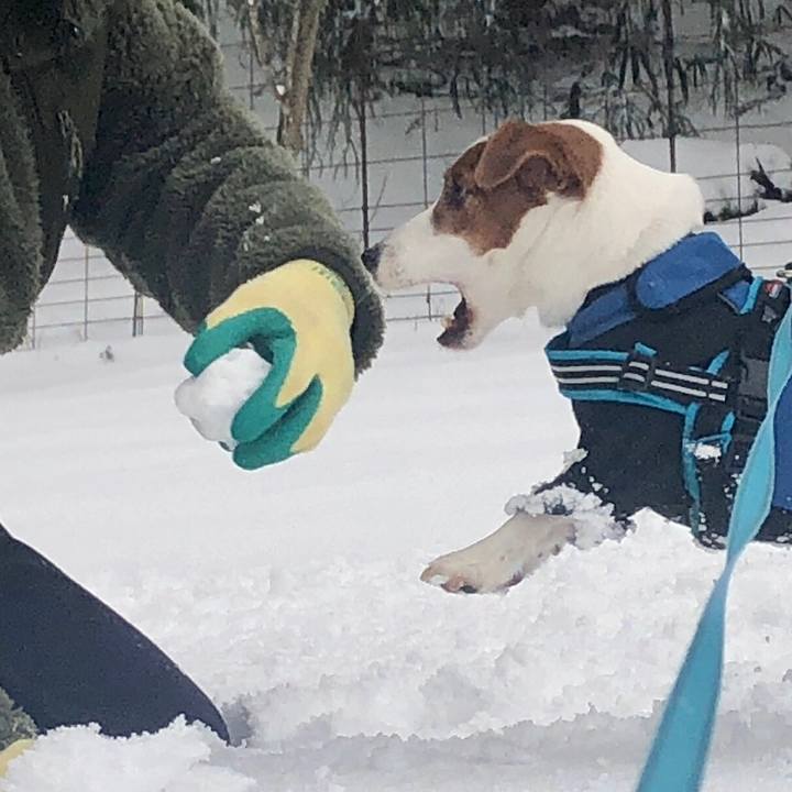 2a9752a6 1e0a 4d6f abc4 d44e5250201c 1645521191192