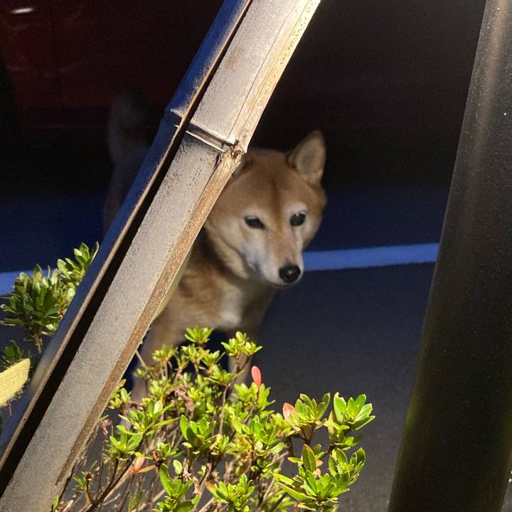 2a97af9a 18bc 4063 82a8 f360e3d32dfb 1634634173806