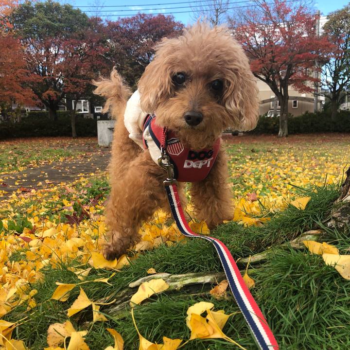 2a97b982 e396 44a3 8a2b 52577133e926 1636558563638