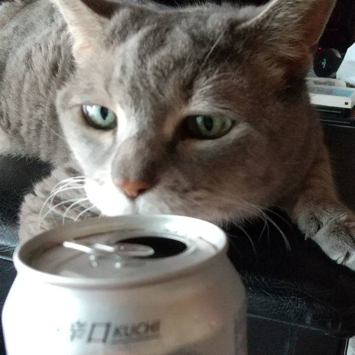 2a97d457 1af2 4a80 b4a4 715214067cb3 1658703400061