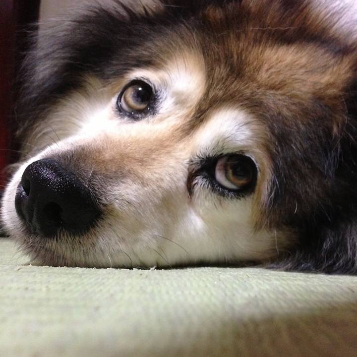 2a97dd8e 6925 4c72 b718 194f2fc20a96 1574754347291