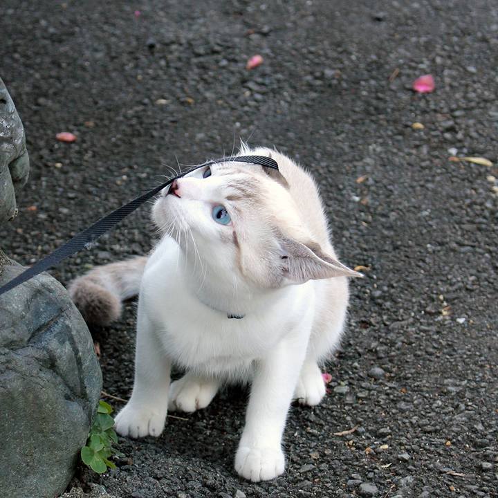 2a97ee1f 349b 405a 88b6 b622bf422b90 1612226884637