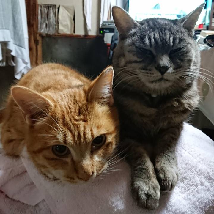 2a98776b 4977 46a5 902b 1910c71ede13 1607975715849