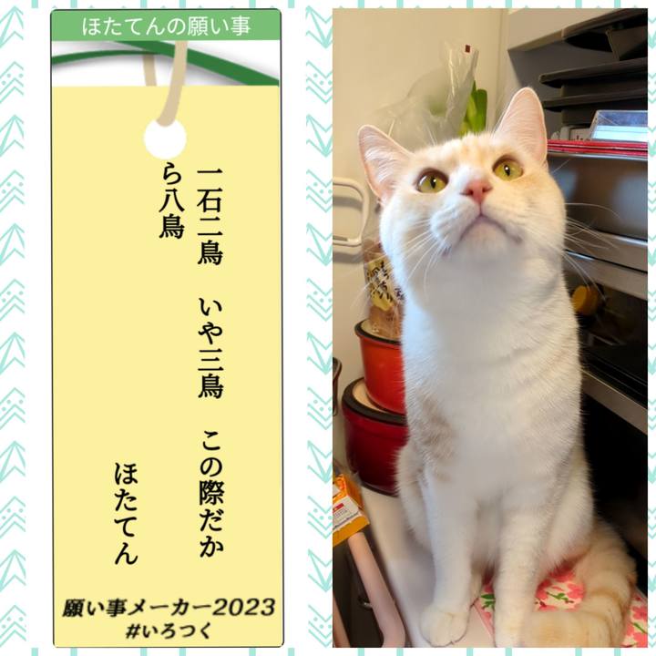 2a988311 2f72 4875 80c2 aba84e72a57c 1688686113317