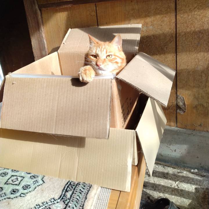 2a98a334 6e63 4605 8f75 90c1e0cca6b3 1668934182365