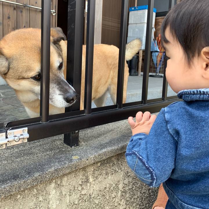 2a98d8ed 79f4 44fb a25e eea32f9b93b2 1553505975374